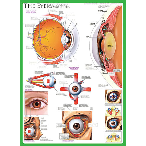 A jigsaw puzzle featuring 'The Luncheon' by Pierre-Auguste Renoir. The image captures a vibrant scene of people dining outdoors, showcasing Renoir's signature impressionist style. The puzzle pieces are intricately designed, perfect for art lovers and puzzle enthusiasts alike.