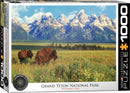 A beautifully designed jigsaw puzzle featuring a scenic view of Grand Teton National Park in Wyoming, USA. The image showcases majestic mountains with snow-capped peaks, vast green meadows, and two bison grazing, capturing the essence of the park's stunning natural landscape. This 1000-piece puzzle by Eurographics offers a delightful challenge for puzzle enthusiasts and nature lovers alike.