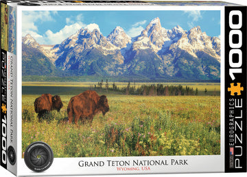 A beautifully designed jigsaw puzzle featuring a scenic view of Grand Teton National Park in Wyoming, USA. The image showcases majestic mountains with snow-capped peaks, vast green meadows, and two bison grazing, capturing the essence of the park's stunning natural landscape. This 1000-piece puzzle by Eurographics offers a delightful challenge for puzzle enthusiasts and nature lovers alike.