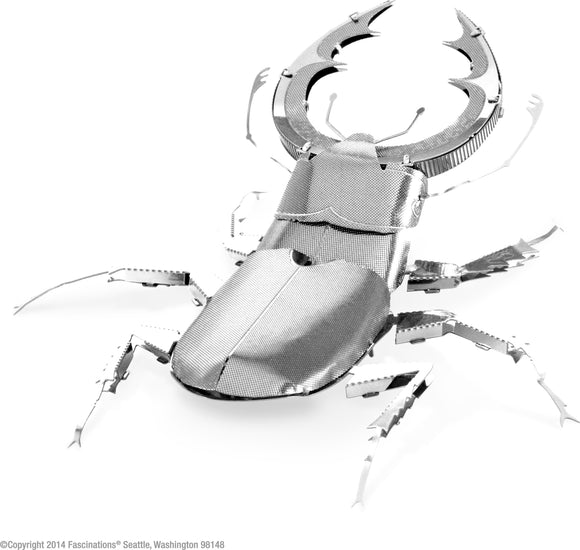 A detailed Metal Earth DIY kit of a Stag Beetle crafted from metal sheets. The model features realistic designs, including an intricately shaped body and antennae, showcasing the artistry in the metalwork. Perfect for enthusiasts and hobbyists looking for a challenging construction project.