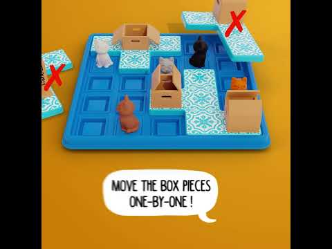 Cats & Boxes-7