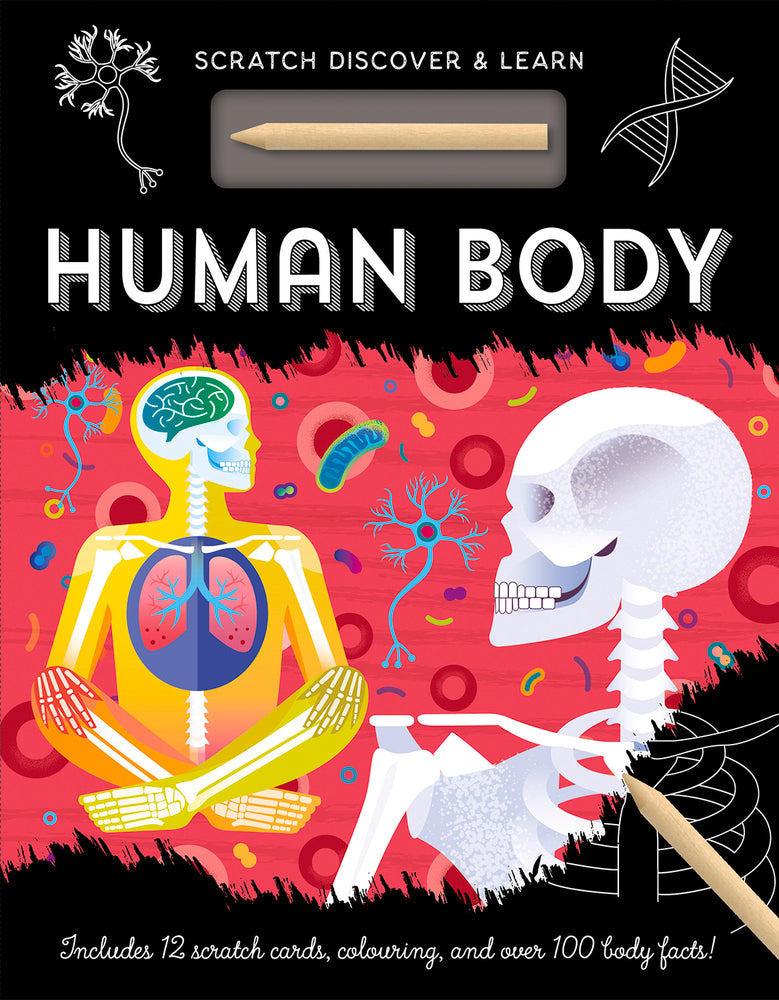 Human Scratch Examples Human Body Scratch & Learn Kit - Engaging Educational Fun | EurekaPuzzles