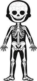 Janod Human Body Educational Puzzle featuring a jigsaw design of a skeleton. The colorful puzzle displays different bones and body parts, designed to engage children in learning about human anatomy while enhancing their problem-solving skills. Ideal for educational play and hands-on learning.