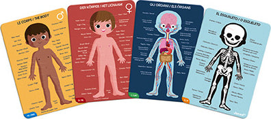 A colorful educational jigsaw puzzle featuring illustrations of the human body. The puzzle includes four cards: a boy and girl with labeled body parts, a diagram of the internal organs, and a skeleton representation. It's designed for children to help them learn about anatomy in a fun and engaging way.