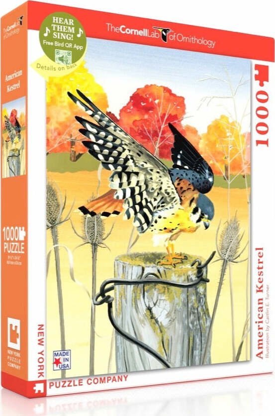 Box of the American Kestrel jigsaw puzzle by New York Puzzle Company, featuring a beautifully illustrated American Kestrel perched on a wooden post, surrounded by autumn foliage in vibrant colors. The puzzle consists of 1000 pieces and is designed in collaboration with Cornell Lab of Ornithology. A QR code sticker indicates an interactive feature to hear bird songs.