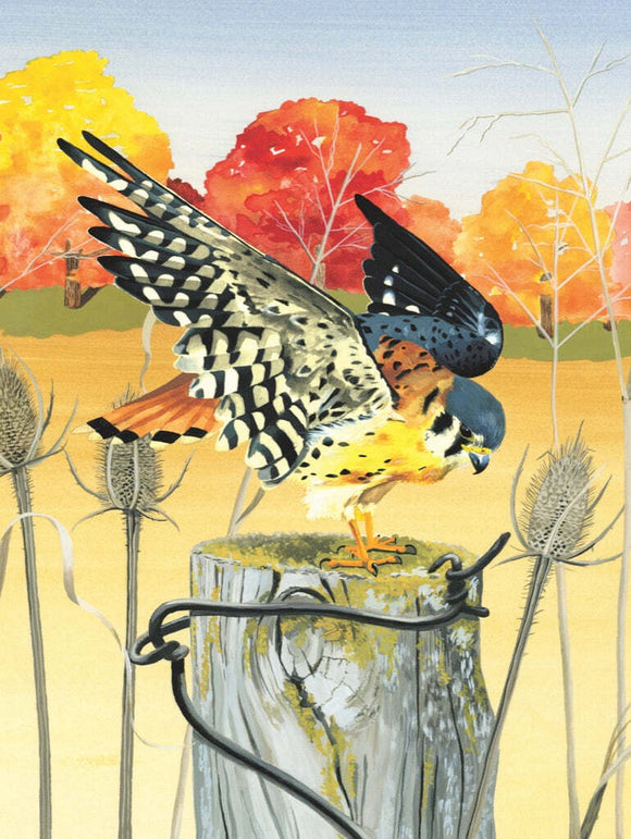 A beautifully illustrated jigsaw puzzle featuring an American Kestrel perched on a wooden post. The background shows colorful autumn trees in shades of orange, red, and yellow, creating a serene outdoor scene. The Kestrel displays its distinctive patterns and vibrant plumage, symbolizing the beauty of nature.