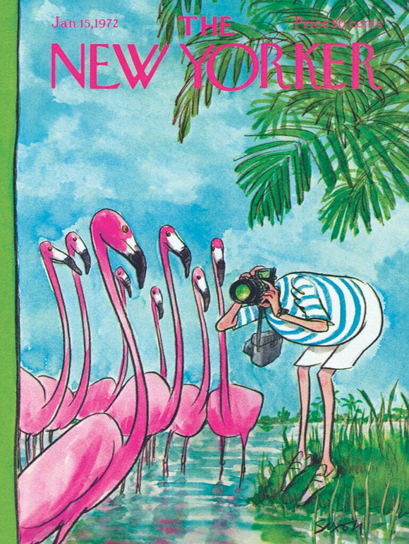 The Flamingo Photographer Puzzle features a vibrant illustration of a photographer in a striped shirt capturing images of several pink flamingos wading in a lush green environment. The scene is set against a bright blue sky with leafy palm trees framing the view, creating a lively and artistic representation perfect for puzzle enthusiasts.