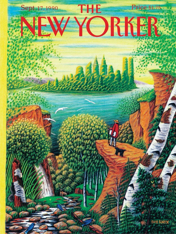 A vibrant 1000-piece jigsaw puzzle featuring a scenic landscape with a figure standing on a rocky outcrop overlooking a river and lush green trees. The artwork is bright and colorful, showcasing a harmonious nature scene with birds and a tranquil atmosphere, perfect for puzzle enthusiasts.