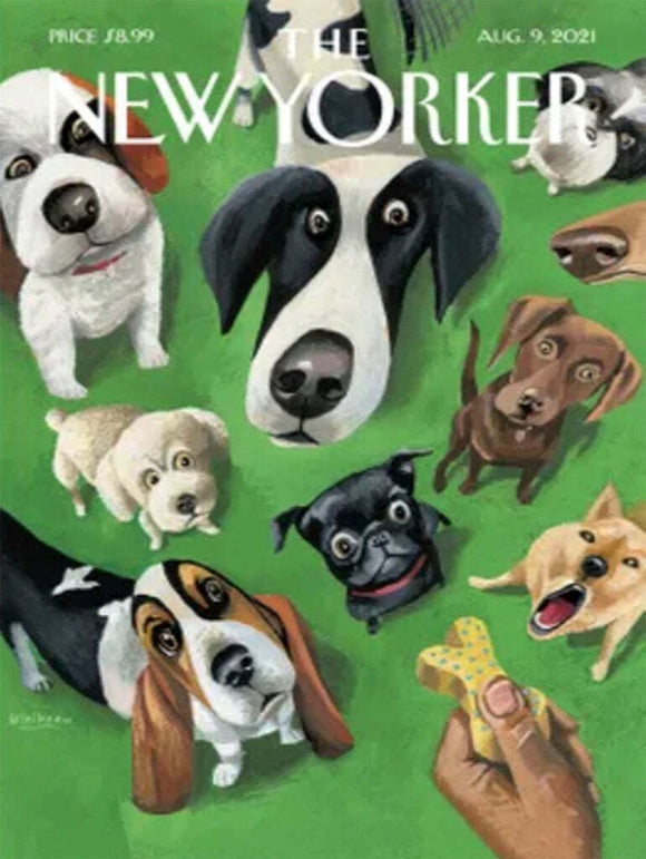 A colorful jigsaw puzzle featuring a whimsical illustration of various dogs with playful expressions on a green background. The image captures the joyful essence of summer and animals, perfect for puzzle enthusiasts and dog lovers alike.