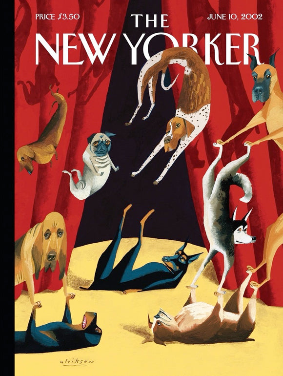 A colorful jigsaw puzzle titled "Dog Show" by New York Puzzle Company, depicting an amusing scene with various dogs performing tricks under circus lights. The artwork features a range of dog breeds in playful poses against a vibrant red curtain background.