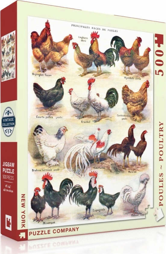 A 500-piece jigsaw puzzle by New York Puzzle Company featuring various breeds of poultry. The box cover showcases illustrated chickens and roosters in a vintage style. Each breed is labeled in French, highlighting their distinct colors and characteristics.