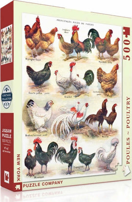 A 500-piece jigsaw puzzle by New York Puzzle Company featuring various breeds of poultry. The box cover showcases illustrated chickens and roosters in a vintage style. Each breed is labeled in French, highlighting their distinct colors and characteristics.