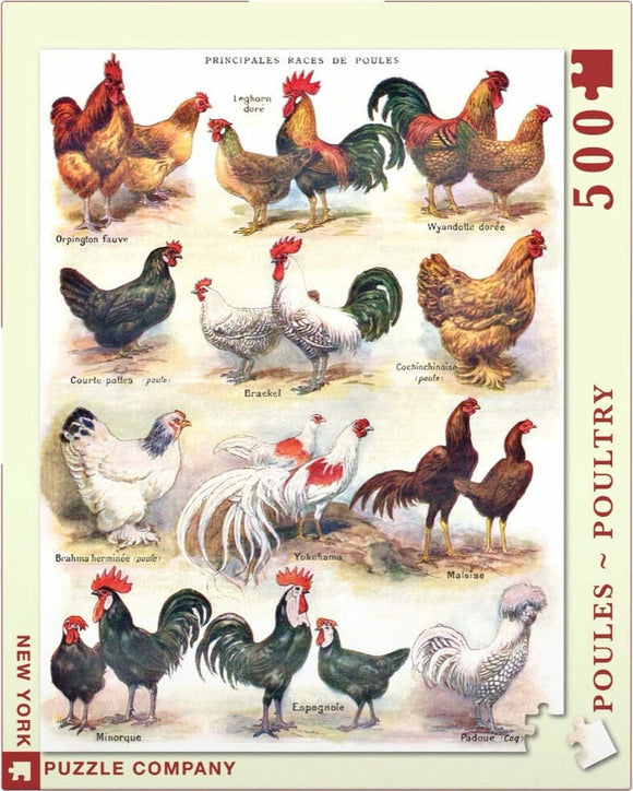 A colorful jigsaw puzzle featuring various poultry breeds. The image displays detailed illustrations of chickens, including Orpington, Leghorn, Wyandotte, and more, arranged artistically. Each breed is labeled in French, enhancing the educational aspect of the puzzle.