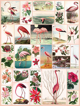 A vibrant jigsaw puzzle featuring an artistic collage of flamingos and various flowers. The design showcases colorful illustrations of flamingos in different poses and a variety of blooming flowers, creating a whimsical and tropical atmosphere. Perfect for puzzle enthusiasts who love nature and wildlife themes.