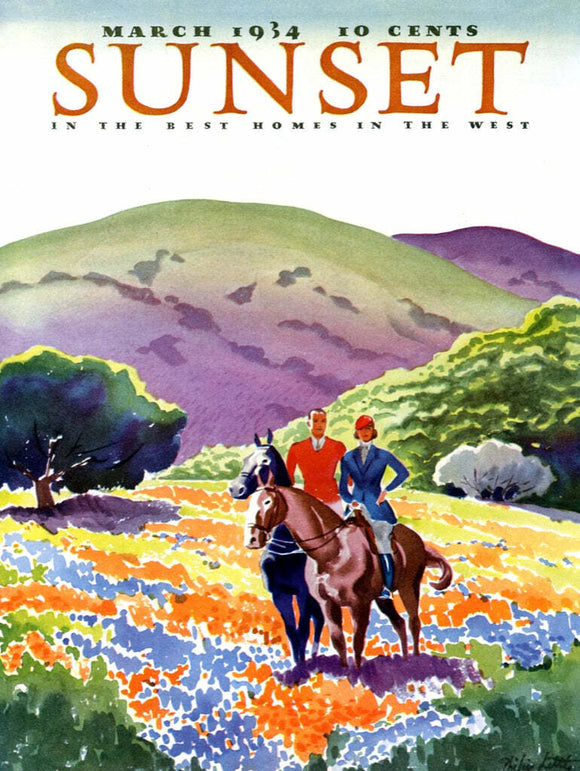 A colorful jigsaw puzzle featuring two riders on horseback in a vibrant landscape of blooming flowers and rolling hills. The artwork evokes a serene outdoor scene, perfect for puzzle enthusiasts who enjoy nature themes. This 500-piece puzzle challenges your assembly skills with its intricate details and beautiful colors.