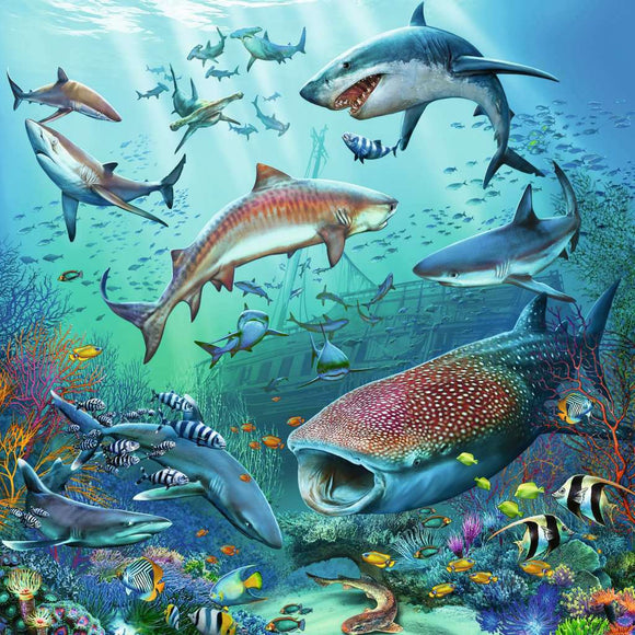 A vibrant jigsaw puzzle illustration of ocean life, depicting various species of sharks, colorful fish, and coral reefs. The background features a sunken ship surrounded by marine wildlife, showcasing the rich biodiversity of underwater ecosystems.