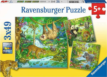 Ravensburger's Jungle Fun jigsaw puzzle featuring three vibrant scenes of wildlife, including a sloth hanging from a tree, a tiger walking through a jungle, and various animals like a panda and a leopard set against a lush, colorful backdrop. The package highlights a premium quality puzzle with 3 sets of 49 pieces, suitable for ages 5 and up.