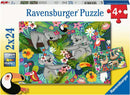 Ravensburger jigsaw puzzle titled 'Koalas and Sloths'. The puzzle features playful koalas and sloths in a vibrant jungle setting with tropical plants, flowers, and colorful birds. Suitable for children aged 4 and above, this puzzle contains two 24-piece puzzles, making it a fun and educational activity for young kids.