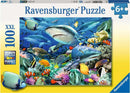 Ravensburger Shark Reef jigsaw puzzle featuring a vibrant underwater scene with multiple sharks, colorful fish, coral, and marine life. The puzzle contains 100 pieces and is designed for ages 6 and up, showcasing intricate details and bright colors in a premium quality format.
