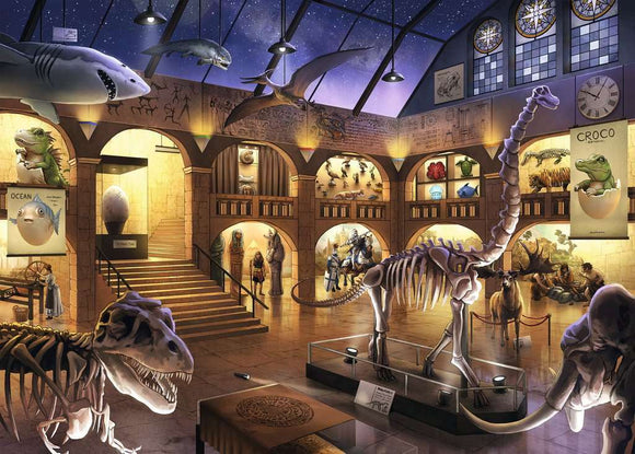 A vibrant jigsaw puzzle scene depicting a museum interior filled with dinosaur skeletons, marine exhibits, and historical artifacts. The artwork features details like a T-Rex skull, lifelike models, and a starry sky visible through the rafters, inviting puzzlers to explore hidden mysteries within the museum. The setting is illuminated warmly, showcasing diverse displays of oceanic life and ancient relics.