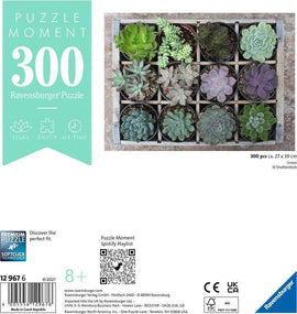 Ravensburger jigsaw puzzle titled 'Green' featuring a beautiful array of 12 potted succulents in various shades of green and purple. The puzzle is composed of 300 pieces and is designed for ages 8 and up. The image showcases the puzzle's vibrant colors and intricate details, perfect for relaxation and enjoyment.