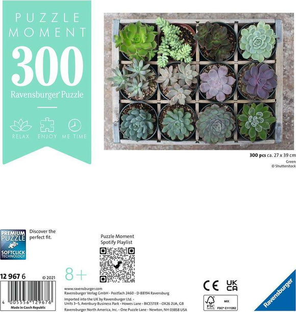 Ravensburger jigsaw puzzle titled 'Green' featuring a beautiful array of 12 potted succulents in various shades of green and purple. The puzzle is composed of 300 pieces and is designed for ages 8 and up. The image showcases the puzzle's vibrant colors and intricate details, perfect for relaxation and enjoyment.