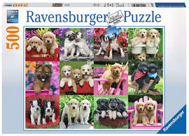 Puppy Pals 500 pc puzzle by Ravensburger, featuring a vibrant collage of adorable puppies in various settings, showcasing different breeds and playful poses. The box displays colorful images of Golden Retrievers, Pugs, and more, appealing to dog lovers and puzzle enthusiasts.