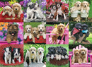 A vibrant and adorable collage of puppies, featuring various breeds such as Golden Retrievers, Pugs, and Boxers. Each puppy is posed playfully, surrounded by colorful flowers and playful settings like baskets and chairs, highlighting their cute expressions and fluffy fur. Perfect for pet lovers and puzzle enthusiasts alike!