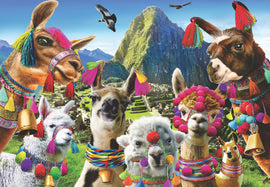 Alt text unavailable