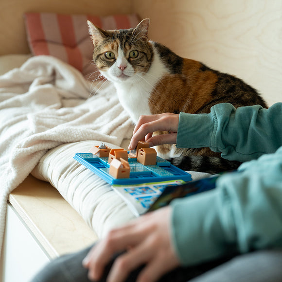 A person interacting with the Cats & Boxes mechanical puzzle from Smart Toys & Games. The puzzle features small box pieces that can be moved around a blue board, with a curious cat sitting nearby on a soft couch. A cozy blanket and cushions are in the background, creating a warm atmosphere.