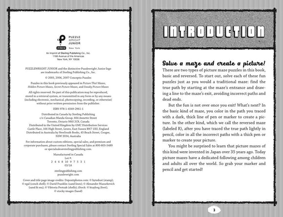 An introduction page from the 'Picture Maze Puzzles for Vacat' by Sterling Publishing. The page explains two types of picture maze puzzles: basic and reversed. It describes how to solve the mazes using a pen or pencil to create corresponding images after tracing paths.