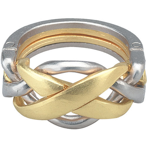 Hanayama Cast Ring Mechanical Puzzle | EurekaPuzzles